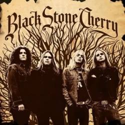 Black Stone Cherry : Black Stone Cherry